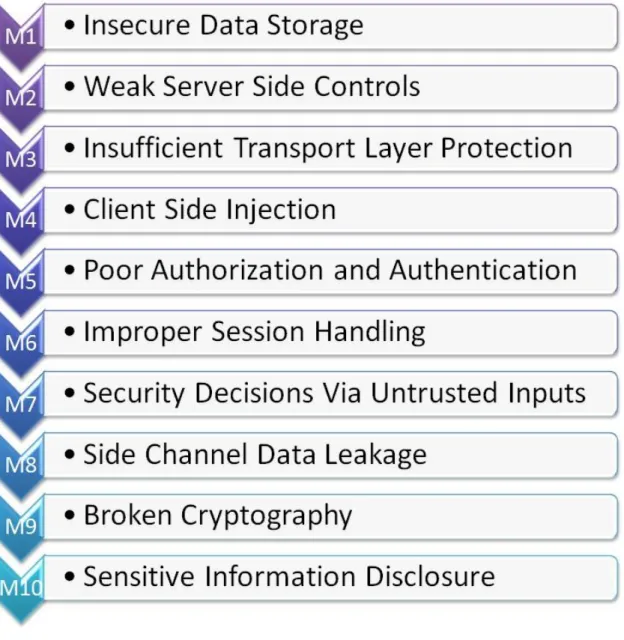 Fig. 2 - OWASP Mobile Top 10 Risks 