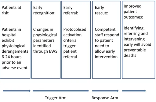 Figure 1: RRS Programme Theory &amp; Implementation Chain  