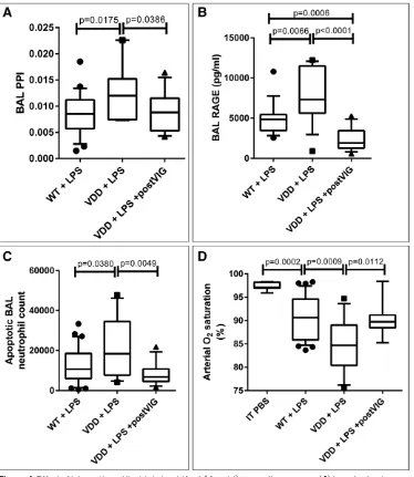 Figure 4. Effect of intraperitoneal liquid cholecalciferol (Vigantol) rescue therapy upon (A) bronchoalveolar lavage fluid protein permeability index (BAL PPI); b, BAL receptor for advanced glycation end-products (BAL RAGE); C, BALF total apoptotic cell co