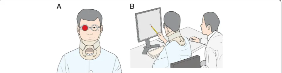 Fig. 1 Performing the computerized red glass test (CRT). The CRT runs on any desktop computer with a color monitor larger than 19 in.