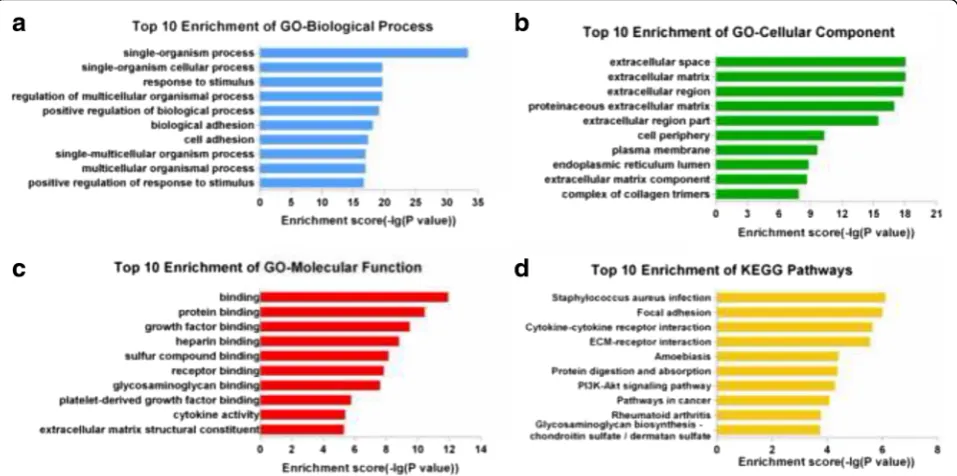Fig. 4 qRT-PCR validation of 6 differentially expressed lncRNAs. a Comparison of fold change of lncRNAs between microarray and qRT-PCR results.b The relative expression levels of lncRNAs in the control group and TGF-β2 group (*P < 0.05, **P < 0.01, ***P < 0.001)