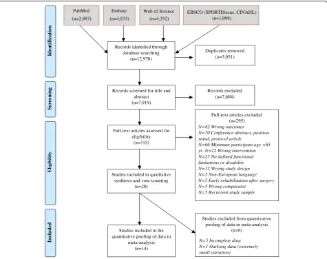 Fig. 1 PRISMA flow chart of the study selection process