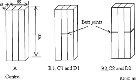 Fig. 1. Design of the butt joint in the compression test. sample. A is the controlB1 and B2 have glue application at the butt joints