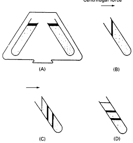 Figure 2Types of density gradient centrifugation. (A) Rate-zonalcentrifugation.(B)Isopycniccentrifugationusinga preformed density gradient