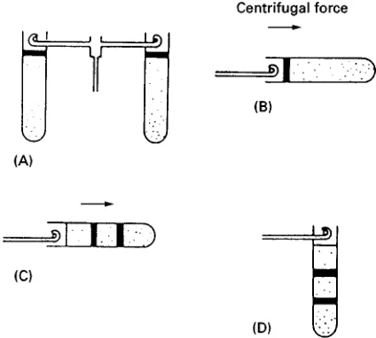 Figure 4Operation of swinging-bucket rotors. (A) The gradientis performed and the sample is loaded on the top of the gradient.(B) Centrifuge bucket reorients as rotor accelerates to lie perpen-dicular to the axis of rotation