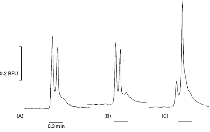 Figure 7Representative electropherograms of (A) antibody control; (B) buffy coat from a scrapie-negative sheep; (C) buffy coat froma scrapie-positive sheep.