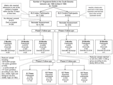 Figure 1. Participant flow.  