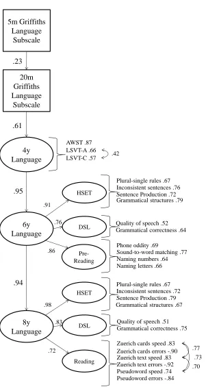 Figure 2. Model of language stability from age 5 months to 8 years in the full sample