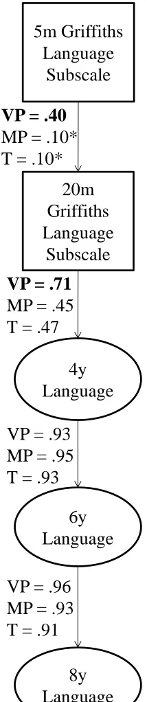 Figure 3. Model of language stability from age 5 months to 8 years by gestation group
