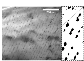 Figure 1: Typical planar rows of interphase precipitates in an Fe-1.62Mn-0.19V-0.2Mo-0.19Si-0.045C wt%alloy isothermally transformed at 973 K for 5 mins and a digitally processed binary image section showingprecipitate twinning.