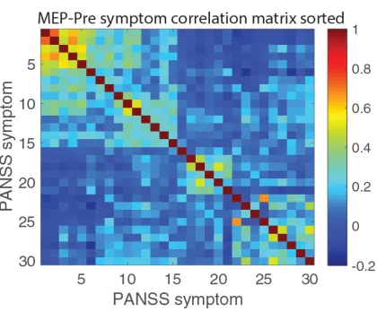 Fig. S1. MEP_Pre symptom correlation matrix, rearranged to show the 4 communities detected with the 
