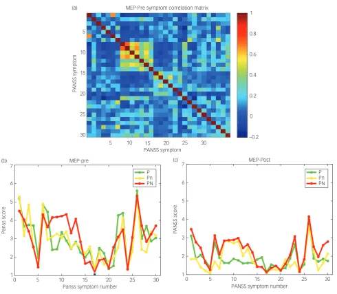 Fig. 1. (a) MEP_Pre symptom correlation matrix. The colour bar indicates the value of the Pearson correlation