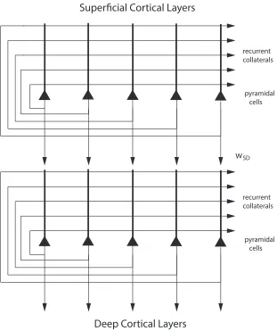 Figure 3: Schematic drawing of the cortical architecture simulated in Experiment 1 with adiscrete attractor network in the superﬁcial layers connecting to a discrete attractor network inthe deep layers