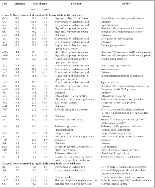Table 1. Differences in the relative RNA abundance between phosphate-limited wild-type and AH024 (DphoPR) cells