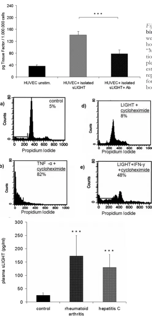 Fig. 5D. Induction of tissue factor (TF) activity by recom-binant LIGHT in human endothelial cells
