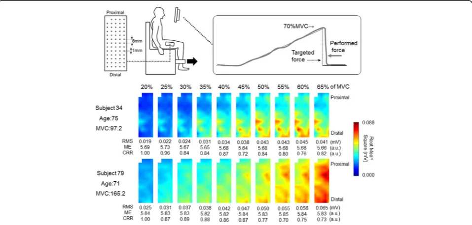 Fig. 1 Electrode, experimental setup, and motor task used in the present study and representative spatial distribution of root mean square ofmulti-channel surface electromyography in vastus lateralis muscle shown as color map for two elderlies with differe