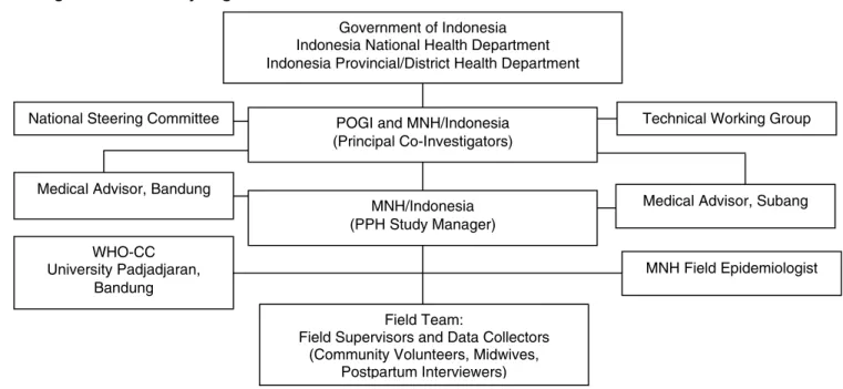 Figure 1. PPH Study Organizational Structure 