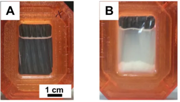 Fig. 2. Preparative-scale expression of Δ7 DgkA. (a) Cassette in which the 3 mL reaction mix is 