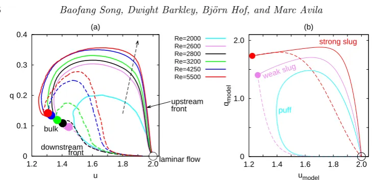 Figure 3. (a) The structure of turbulent-laminar fronts from DNS seen as trajectories in the(u, q)-phase plane