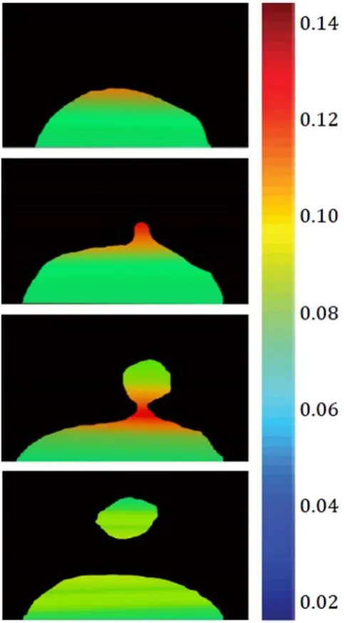 Figure 19. The computed distribution of surface tension through and in close proximity to a growing perturbation (t* = 15000, 20000, 30000 and 35000 Δt).