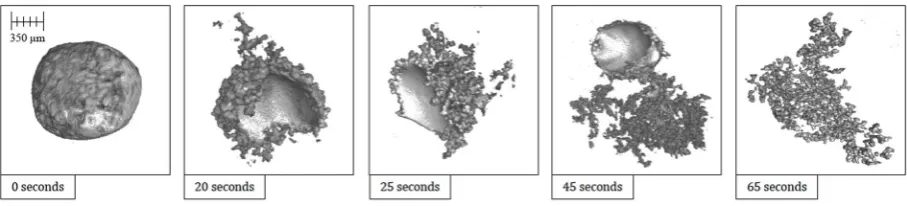 Figure 5. 3D reconstructions of the 20- and 25-second samples, with the addition of the segmented perturbations displayed in colour dependent on length of protrusion from the segmentation sphere.