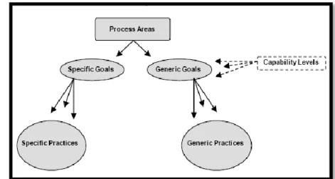 Figure 2.6: Capability Levels and Generic Goals [8] 