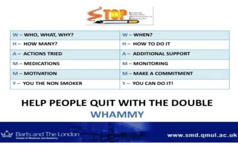 Figure 1 The Double Whammy paper-based desk prompt. The desk prompt presents key messages from the training in a calendar format, displaying examples of how issues may be raised and addressed.