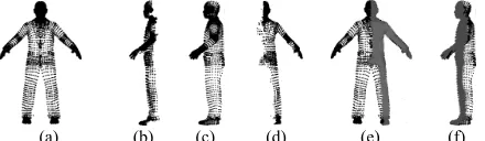Fig. 1. Gait partial similarity matching: (a) mesh vertices at 0° view (i.e., front 