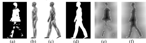Fig. 6. Level set energy cost function construction: (a) processed level set of 2D incomplete gait image; (b) 3D projected gait silhouette after weighting; (c) mixture of the two data sets of (a) and weighted silhouette (b); and (d) and (e) are mixture of 