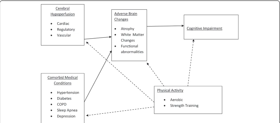 Fig. 1 Physical Activity for the Improvement of Cognitive function in Heart Failure Solid lines represent pathways leading to poorer health andcognitive outcomes