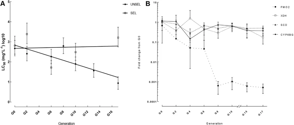 Fig. 3. Chlorantraniliprole susceptibility and expression of candidate resistance genes in selected and unselected lines of the HAW P