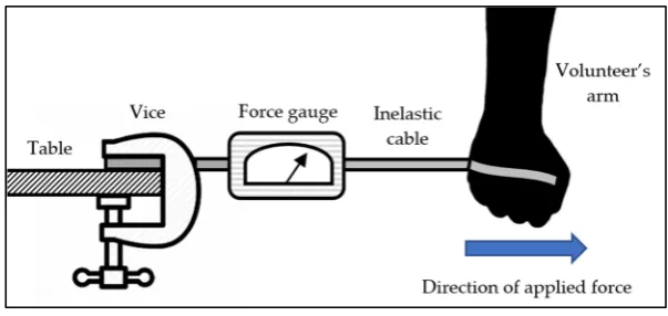 Figure 2.Figure 2. Experimental setup to measure release forces.  Experimental setup to measure release forces.