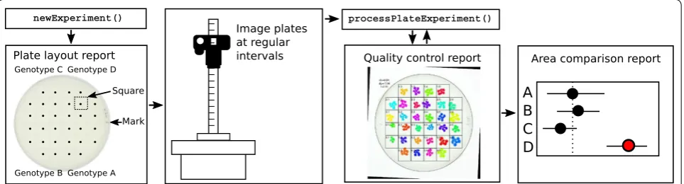 Fig. 1 Overview of rosettR phenotyping protocol. The sowing is facilitated by the auto-generated plate layout report