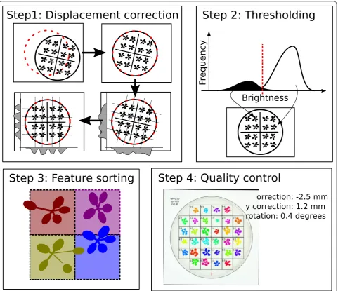Fig. 2 Overview of image analysis steps in rosettR. ture model classifying pixels to the bright (backlit) background or all other darker pixels as plant material