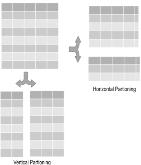 Figure 5: Horizontal and Vertical Partioning Techniques control and individual safeguards must be separated to  be able to provide acceptable privacy
