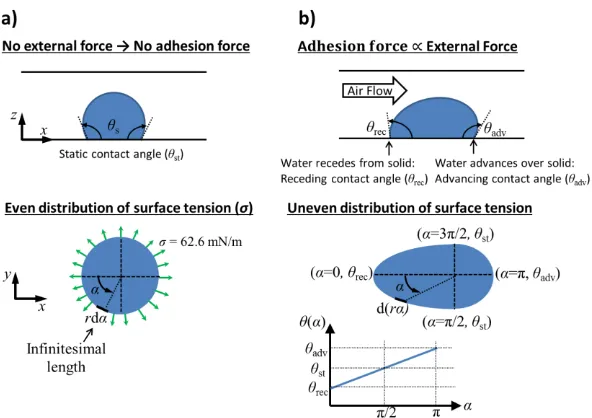 Figure 12: Contact angle distribution on the perimeter of a droplet foot print, under conditions of:  a) absence of an external force, b) presence of an external force