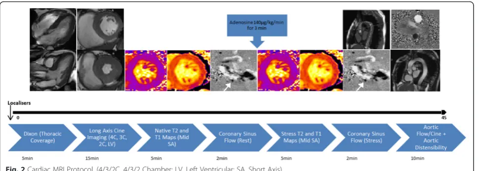 Fig. 2 Cardiac MRI Protocol. (4/3/2C, 4/3/2 Chamber; LV, Left Ventricular; SA, Short Axis)