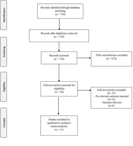 Figure 1: Study selection flow diagram 