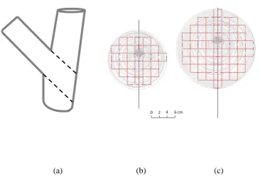 Fig. 2. (a) Test setup; (b) Typical tension test sample showing ‘Active Area’ and ‘Fixed 