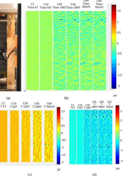 Fig. 9. (a) Failure of Sample G1S. Contour plots from sequential analysis: (b) y, (c) x 