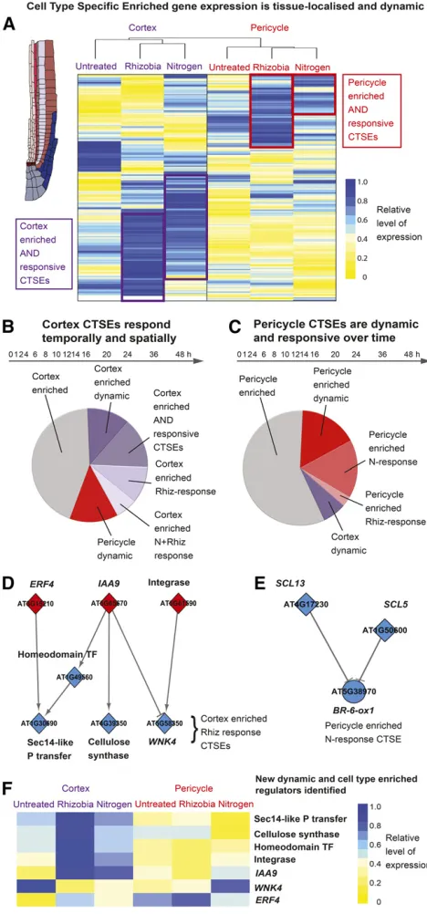 Figure 5. Cell-Type-Speciﬁc Enriched Genes Are Dynamic and Re-sponsive to the Environment.