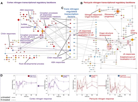 Figure 3. Nitrogen Response Networks Are Modular in Their Cell-Type Organization, but Connected by Transcription Factor Regulation.