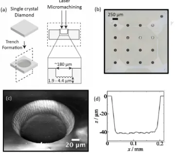 Figure 1:ACCEPTED Fabrication of an array of thin, circular membranes supported in a single crystal 