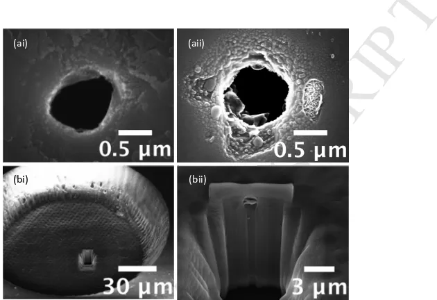 Figure 3:MANUSCRIPT ACCEPTED (a) FE-SEM images of EBIE of diamond membrane thru-pore 1 (in Table 1); (i) 