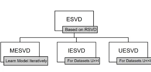FIGURE 1: The proposed ESVD and its variants