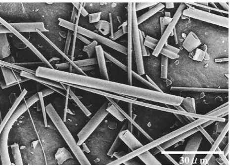 Fig. 1 Electronmicroscopicimage ofﬁber beforegeneration(91000)