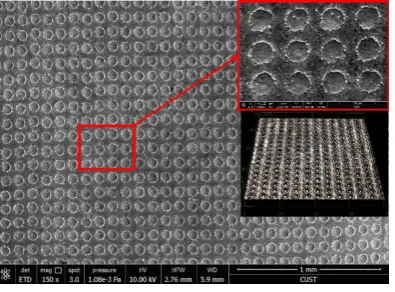 Figure 2. SEM images of different surface micropatterns: (a) Line pattern (b) Grid pattern 