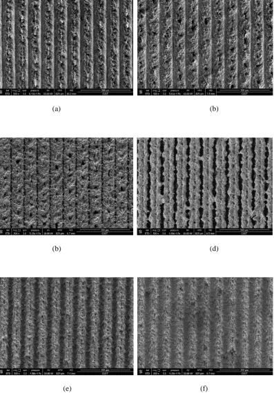 Figure 5. SEM images of surface structures with various laser scanning speed: (a) 20 
