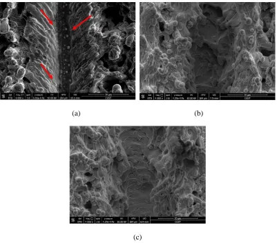 Figure 6. High magnification SEM images of surface structures with laser scanning 
