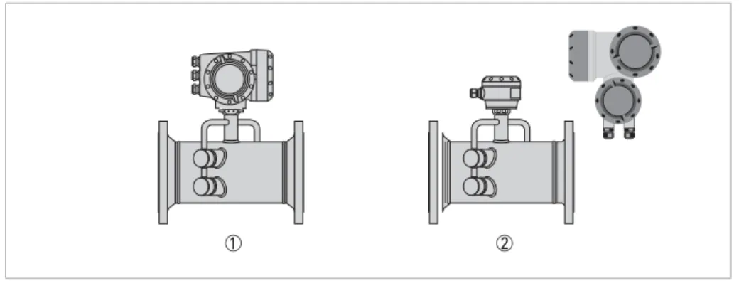 Figure 2-2: Device versions 1  Compact version 2  Remote version